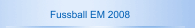 Fussball EM 2008